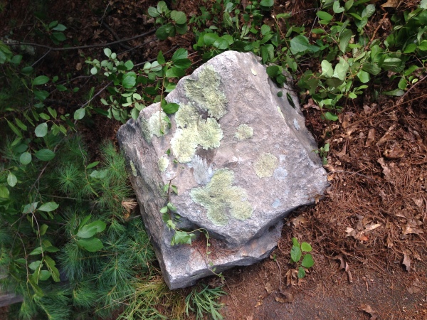 Fake lichens on real rock.