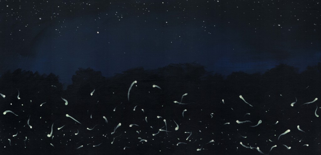 fireflies