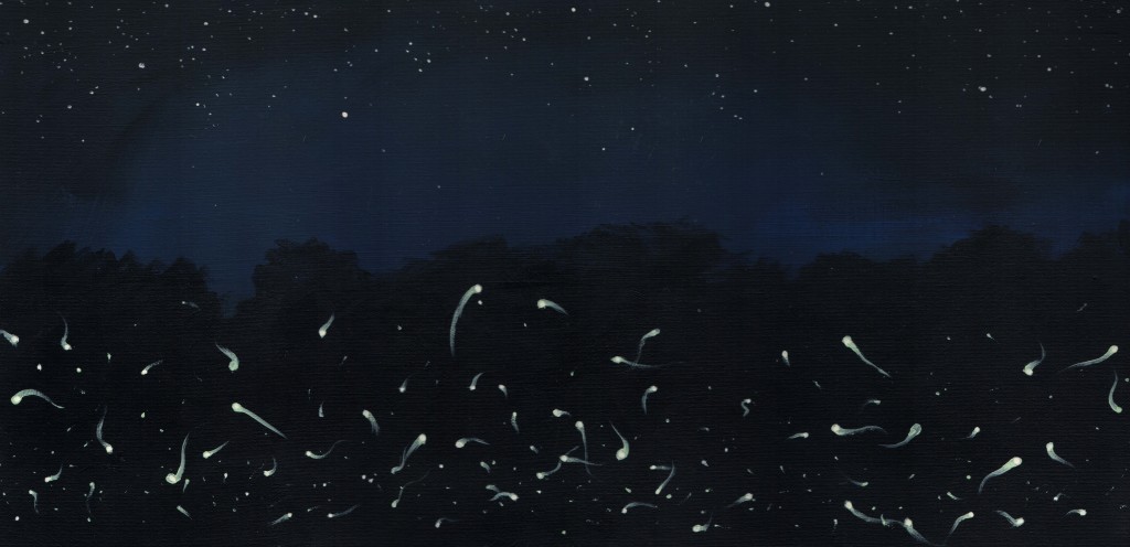 Fireflies